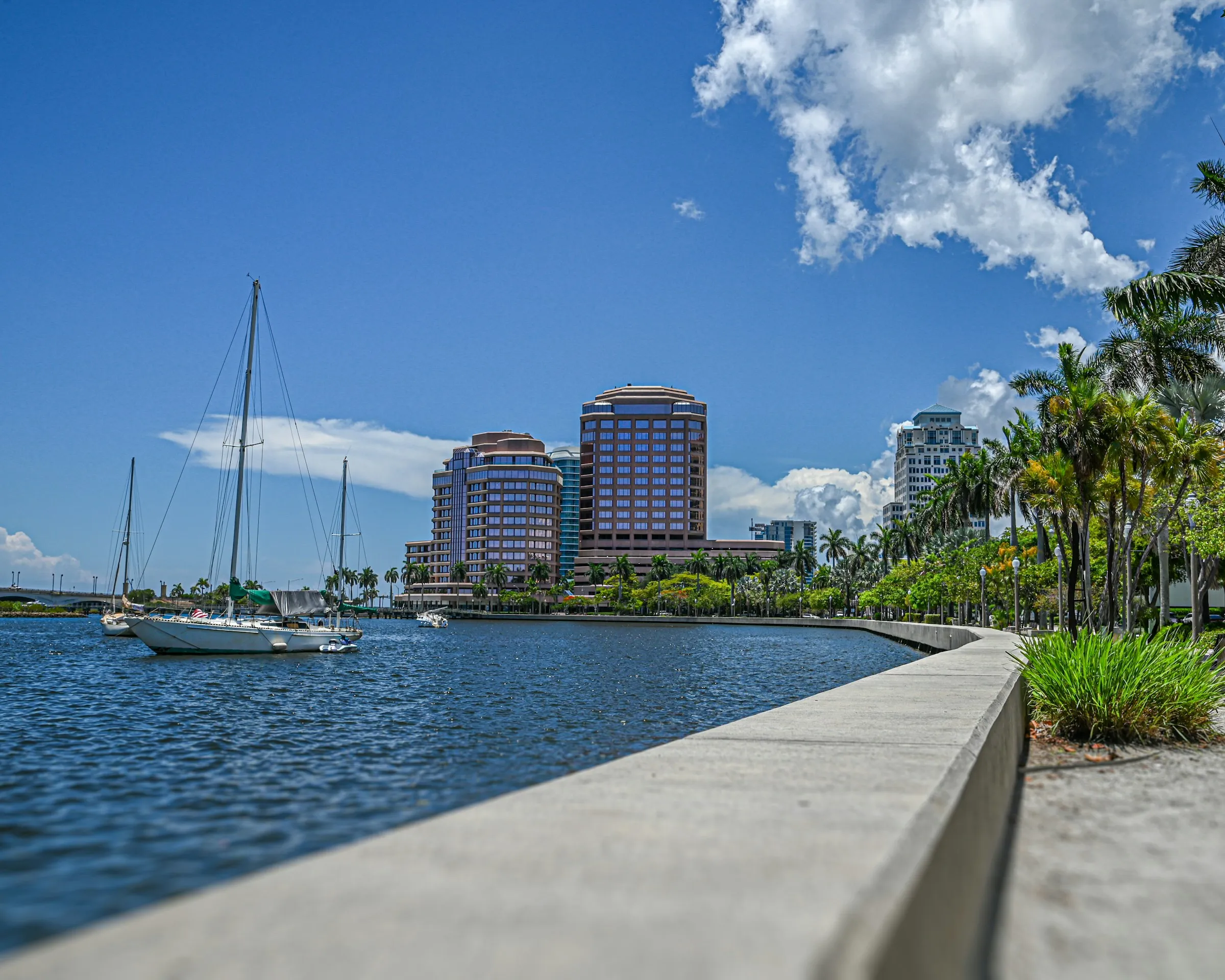 Concrete seawall cap along a Florida waterway